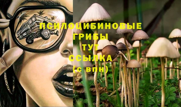 спиды Баксан