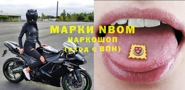 прущие грибы Балабаново