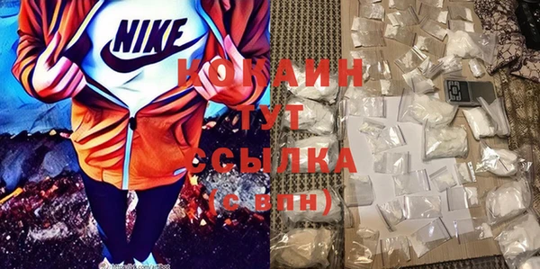 прущие грибы Балабаново