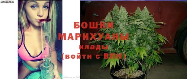 прущие грибы Балабаново