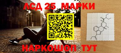 амфетамин Гай