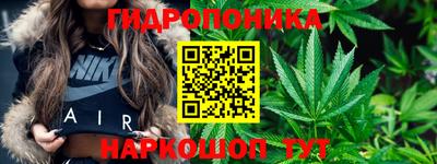 гашиш Гатчина