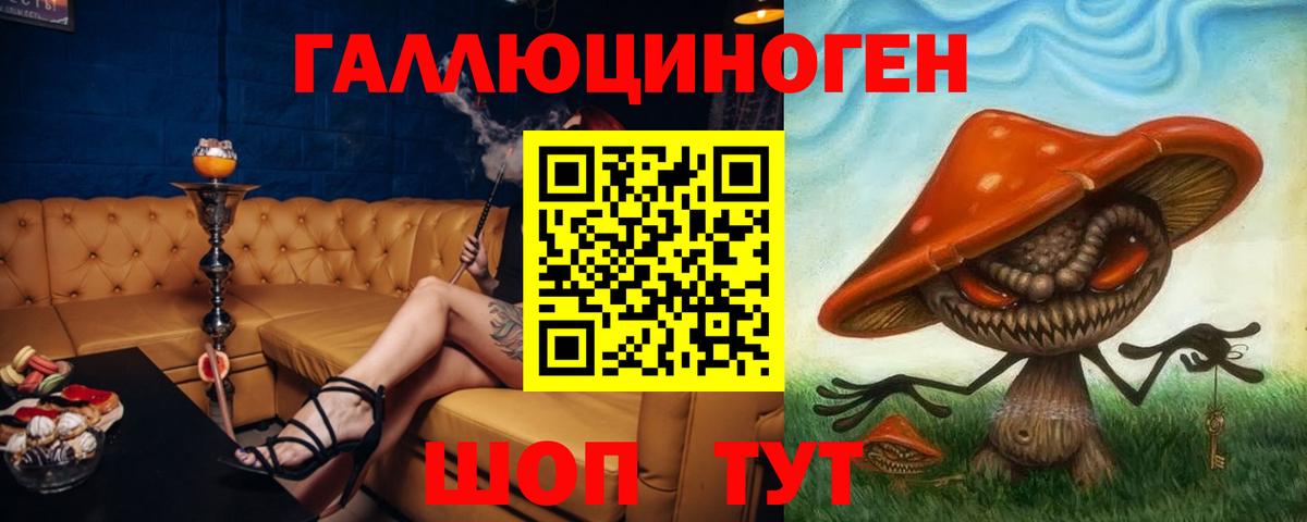 Галлюциногенные грибы мухоморы Корсаков